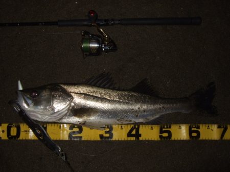 真冬から春のパターンへ