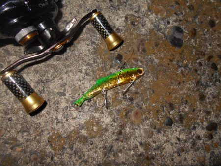 まだまだ釣れ続ける