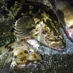 仕事帰りにちょっとだけ