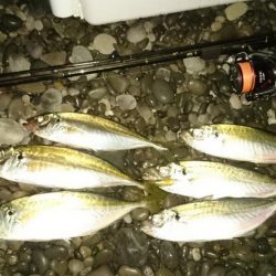 フロートアジング～