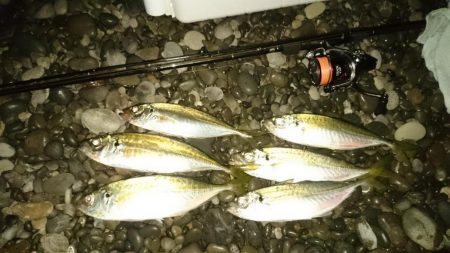 フロートアジング～