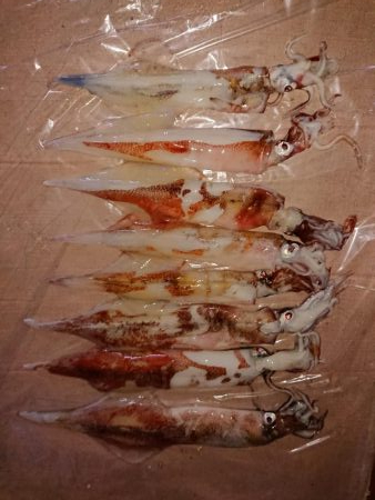 ウネリの中良型揃い