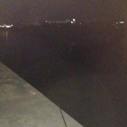 ナイトルアーフィッシング　シーバス