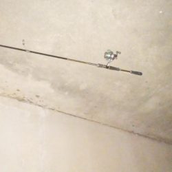 ナイトルアーフィッシング　シーバス