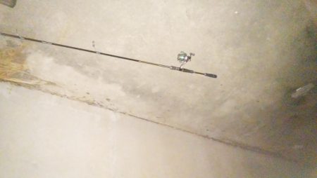 ナイトルアーフィッシング　シーバス