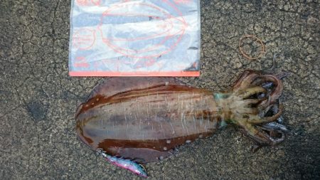 どーしても食べ比べたい