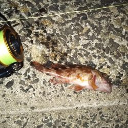 春はまだ告げられず・・・