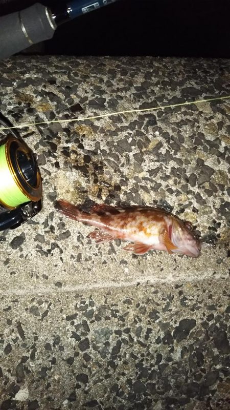 春はまだ告げられず・・・