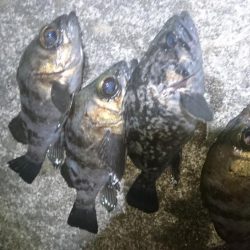 仕事帰りに少しだけ