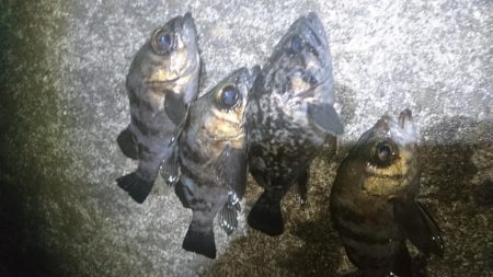 仕事帰りに少しだけ