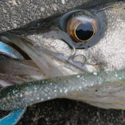 澄み潮クリアウォーター攻略