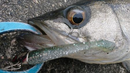 澄み潮クリアウォーター攻略