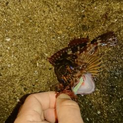 ガッシーも厳しい‼️