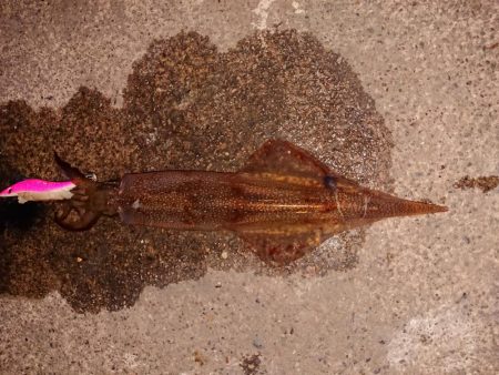 好状況ながら渋い