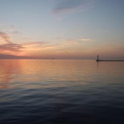 播磨新島でキス釣り