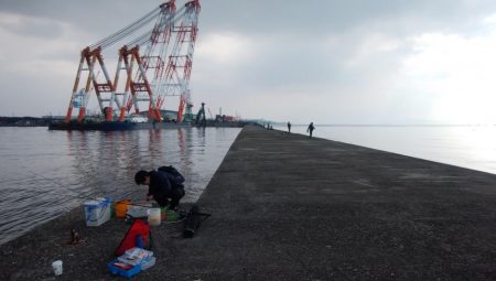 播磨新島で良型キスが釣れました