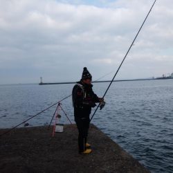 播磨新島でキス釣り