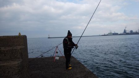 播磨新島でキス釣り