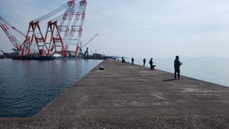 今朝も播磨新島へキス釣査