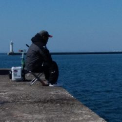 播磨新島でキス釣り