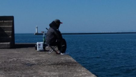 播磨新島でキス釣り