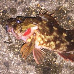 出張先の楽しみ①