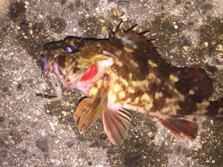 出張先の楽しみ①