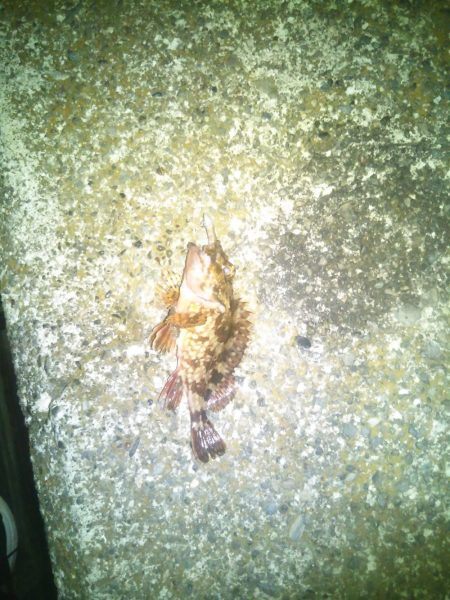 いつもと違う場所で…