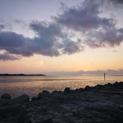 真っ暗でギンガメアジ