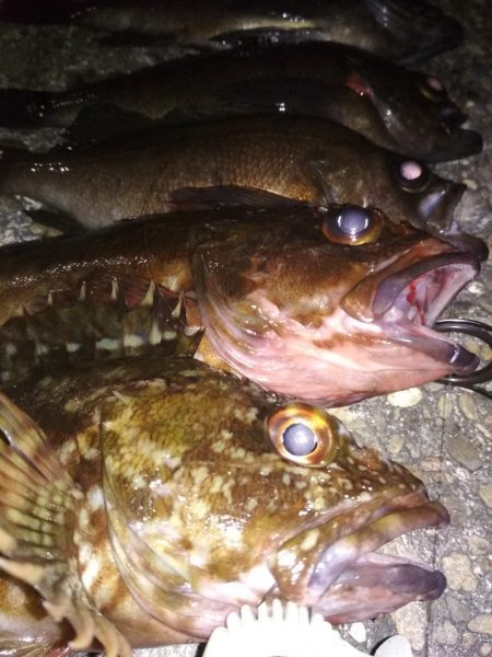 メバリングラビングバズ