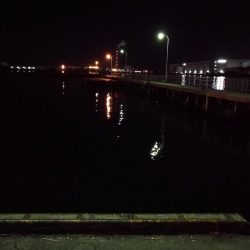 南港フェリーヘチ釣り （チョイ渋い！ガシラ,タケノコ 釣果有り）