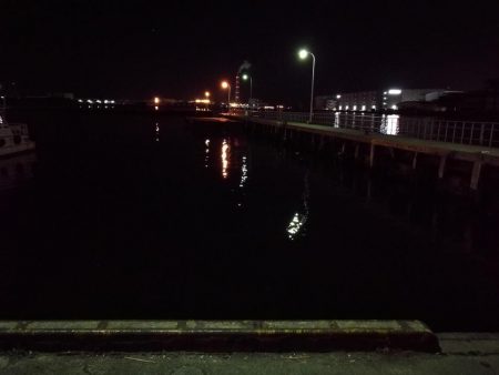 南港フェリーヘチ釣り （チョイ渋い！ガシラ,タケノコ 釣果有り）