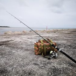 夕マズメ 港でオオメカマス