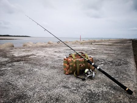 夕マズメ 港でオオメカマス