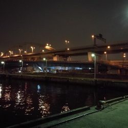 南港フェリーヘチ釣り (まいど渋いよ~ガシラ,タケノコ、シーバス 釣果有り)