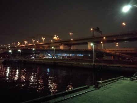 南港フェリーヘチ釣り (まいど渋いよ~ガシラ,タケノコ、シーバス 釣果有り)