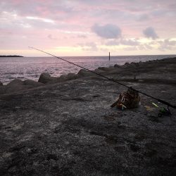 強風で渋い中シンペンでオオメカマス