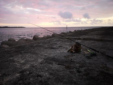 強風で渋い中シンペンでオオメカマス
