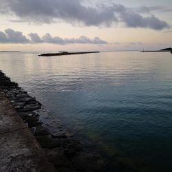 ルアー変われど釣れるのは同じオオメカマス