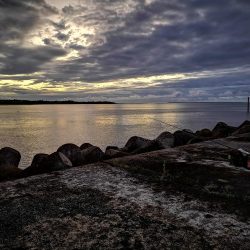 風の穏やかな早朝ポッパーでバラクーダ
