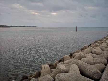今朝は強風が復活、渋くオオメカマス