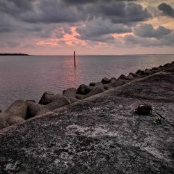 風は弱まりましたが釣れるのはオオメカマスだけ