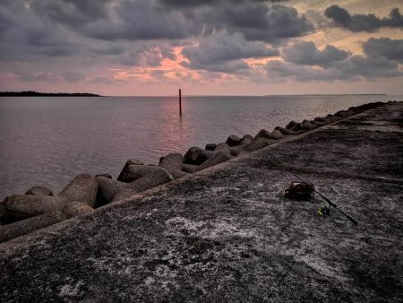 風は弱まりましたが釣れるのはオオメカマスだけ
