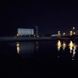 南港カモメ大橋ヘチ釣行 （楽しく根魚釣り～ ガシラ、タケノコ釣果有り）