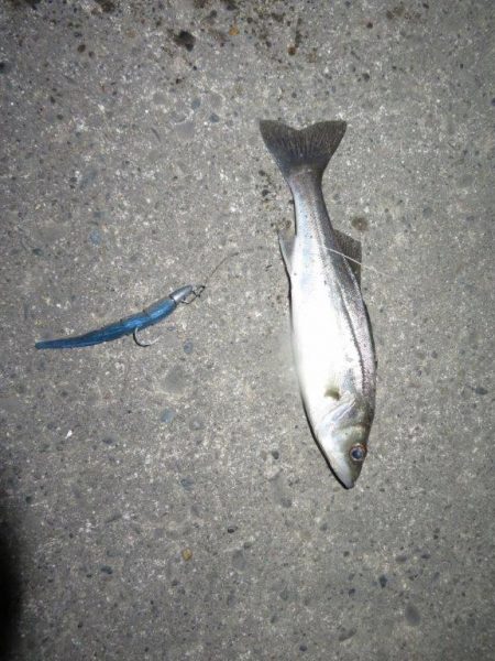 バチは抜けているというものの・・・