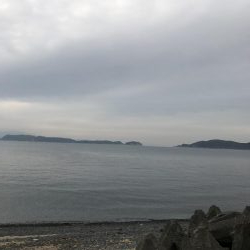 サバ君を楽しむ