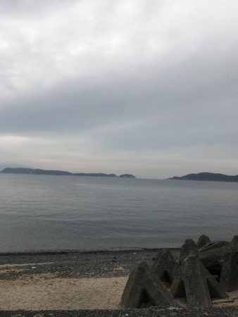 サバ君を楽しむ