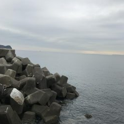 ライトショアジギング