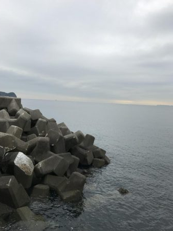 ライトショアジギング