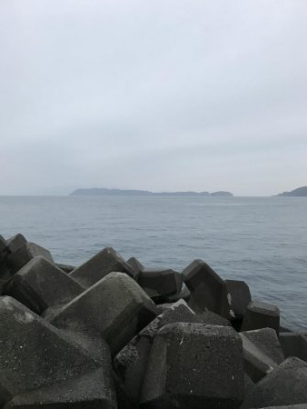 イワシがデカイ